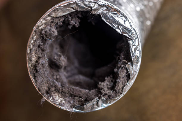 Best Home Air Vent Cleaning  in Lodi, CA